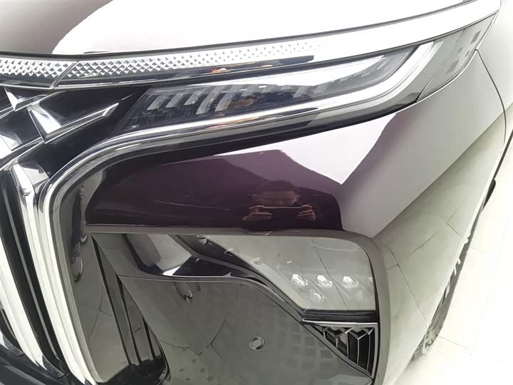 Dongfeng Forthing Xinghai V9 2024 2024款 1.5TD 200km 中国结系列 尊享型