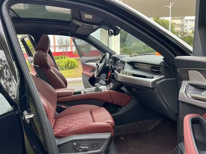 Audi Q6 2023 2023款 45 TFSI quattro 齐云型 飞骑套装