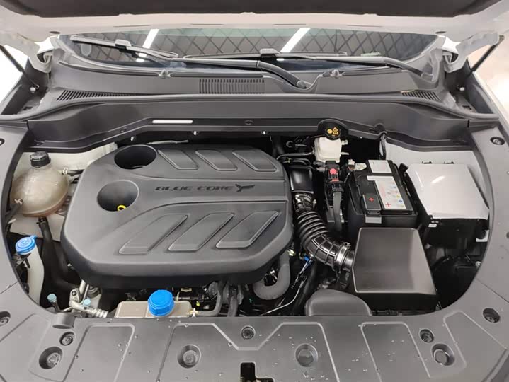 Changan Oshan Z6 2023 2023款 蓝鲸 1.5T DCT智领型