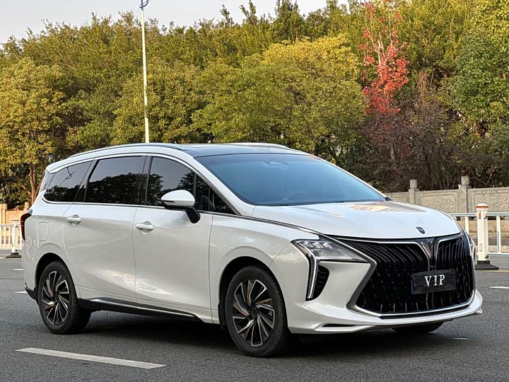 Dongfeng Forthing Yacht 2022 2022款 1.5T DCT逐浪版