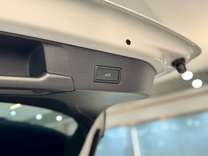 Volkswagen ID.4 X 2025 2025款 聪明款 纯净智享版