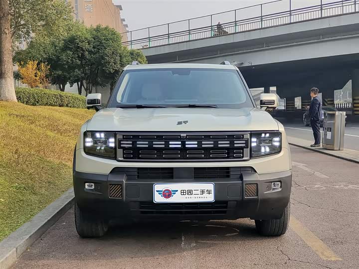 Jetour Shanhai T1 2024 2024款 150km 向湖