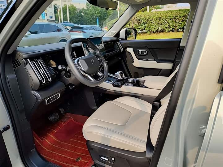 Jetour Shanhai T1 2024 2024款 150km 向湖