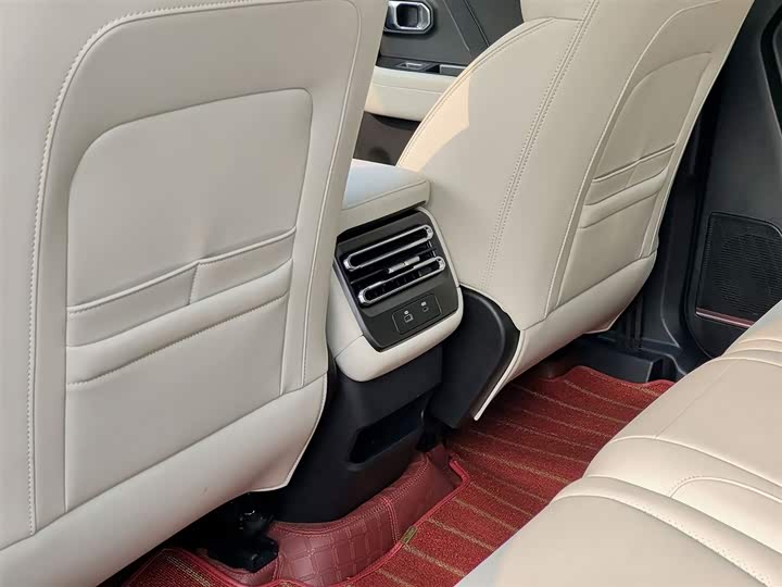 Jetour Shanhai T1 2024 2024款 150km 向湖