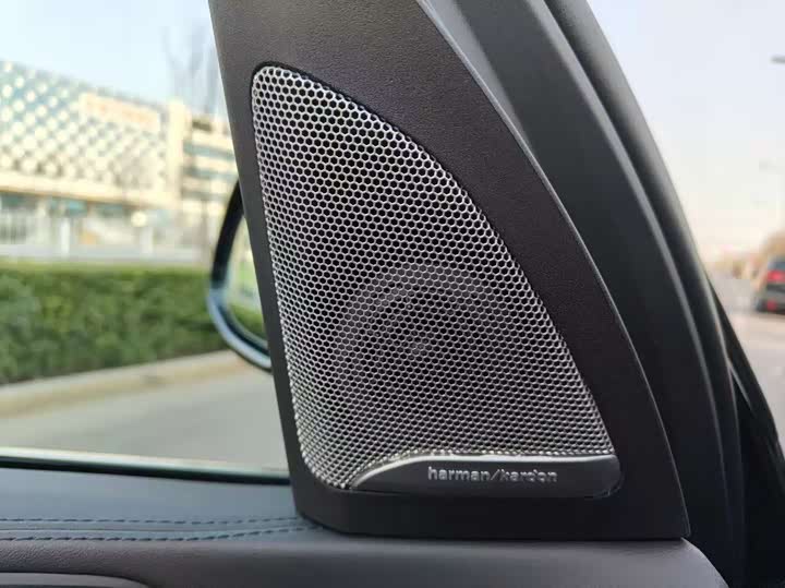 BMW X5 2024 2024款 xDrive 40Li 尊享型黑焰限量版