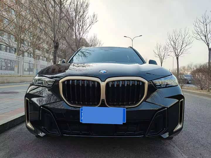 BMW X5 2024 2024款 xDrive 40Li 尊享型黑焰限量版