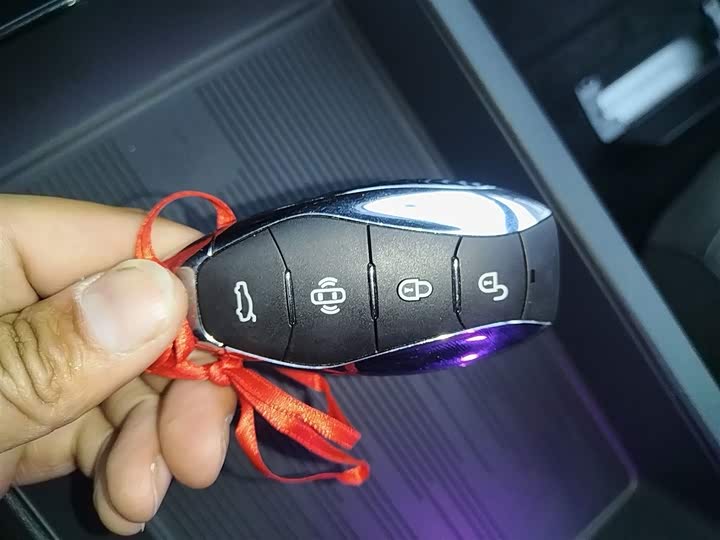 Hongqi EH7 2024 2024款 690 Pro荣耀版