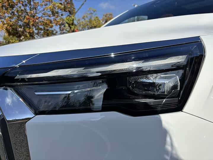 Geely Okavango L 2024 2024款 2.0T DCT旗舰型