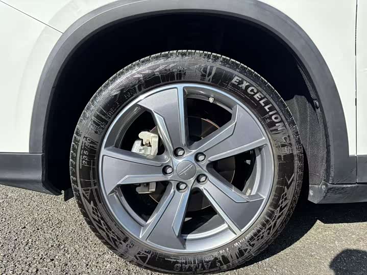 Geely Okavango L 2024 2024款 2.0T DCT旗舰型