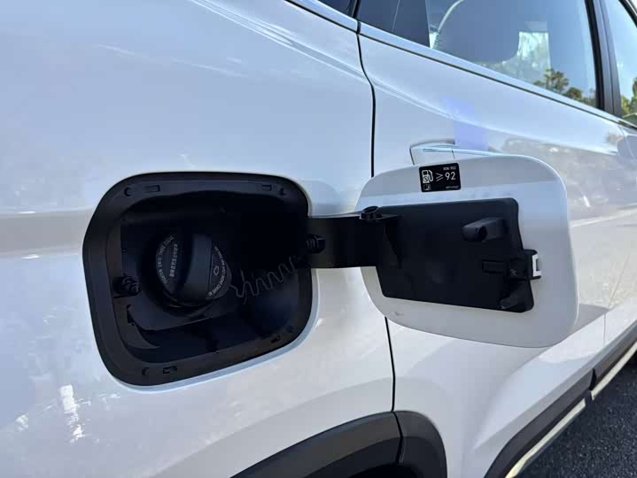 Geely Okavango L 2024 2024款 2.0T DCT旗舰型