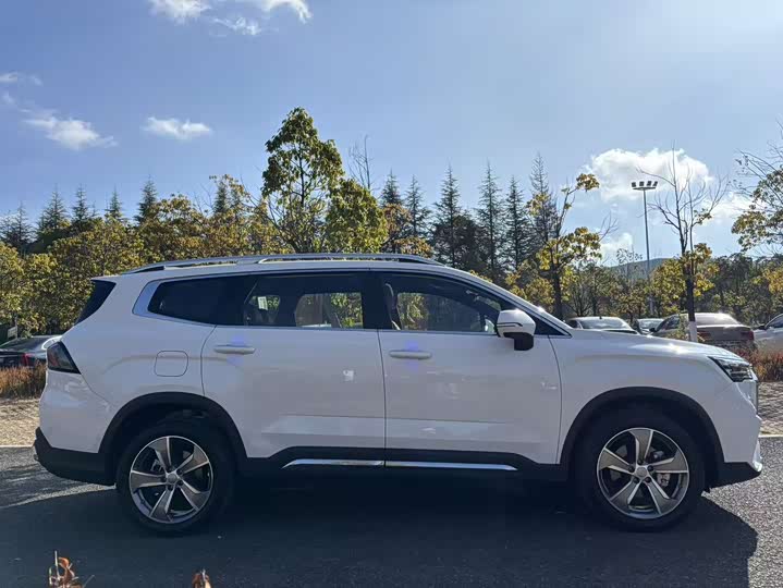 Geely Okavango L 2024 2024款 2.0T DCT旗舰型