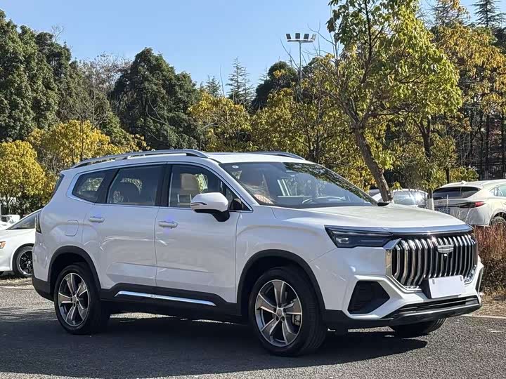 Geely Okavango L 2024 2024款 2.0T DCT旗舰型