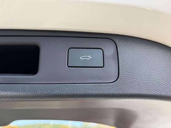 Geely Okavango L 2024 2024款 2.0T DCT旗舰型