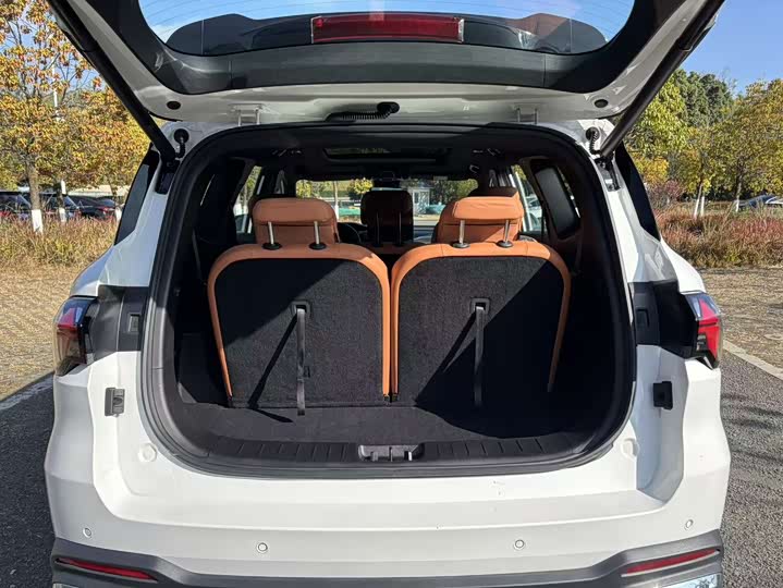 Geely Okavango L 2024 2024款 2.0T DCT旗舰型