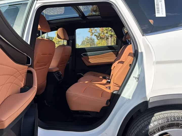 Geely Okavango L 2024 2024款 2.0T DCT旗舰型