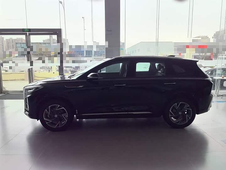 Hongqi HS3 Hybrid 2024 2024款 115km 劲为版