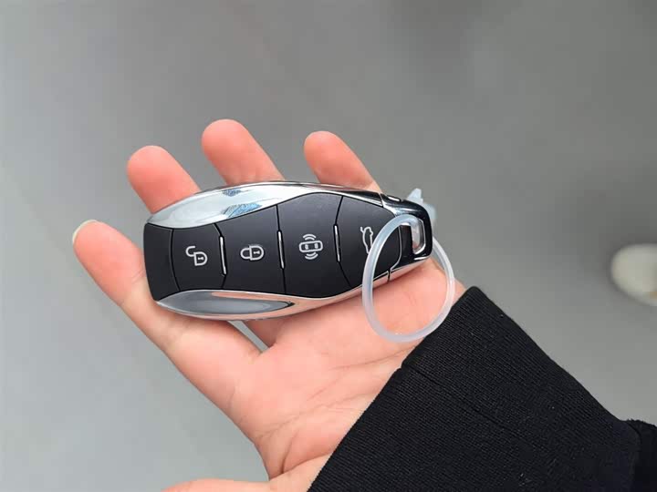 Hongqi HS3 Hybrid 2024 2024款 115km 劲为版