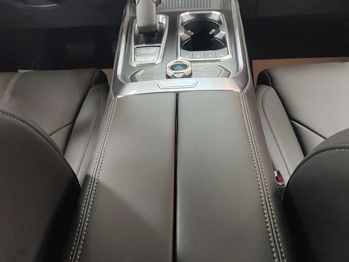 Tank 400 Hybrid 2024 2024款 Hi4-T 越野版