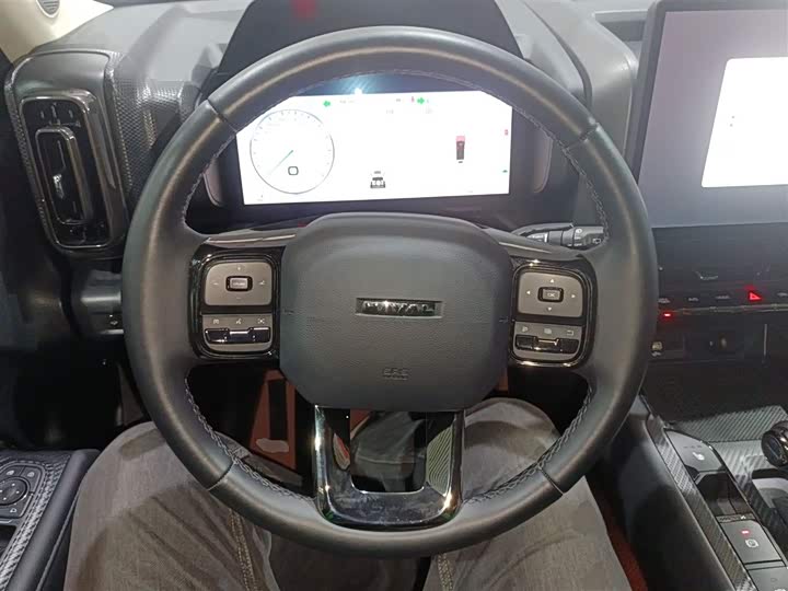 Haval Raptor Hybrid 2024 2024款 Hi4 145 穿越版