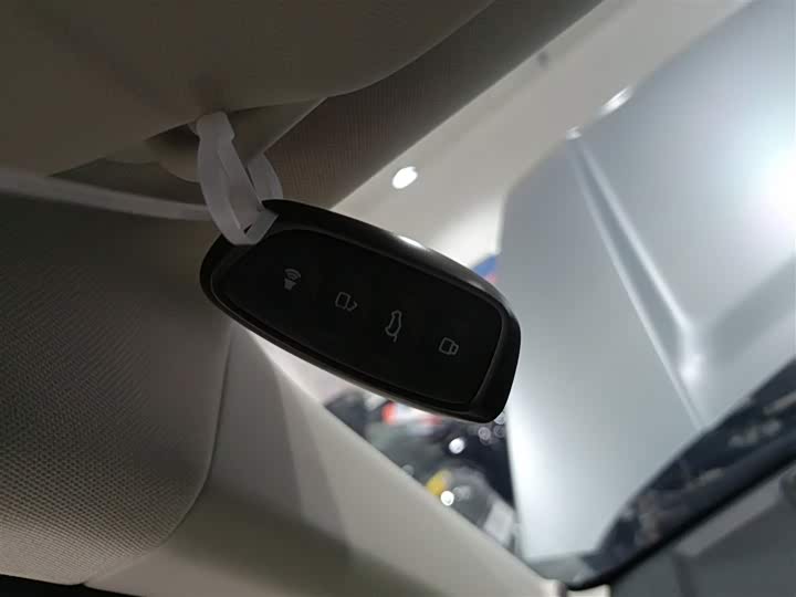 Haval Raptor Hybrid 2024 2024款 Hi4 145 穿越版