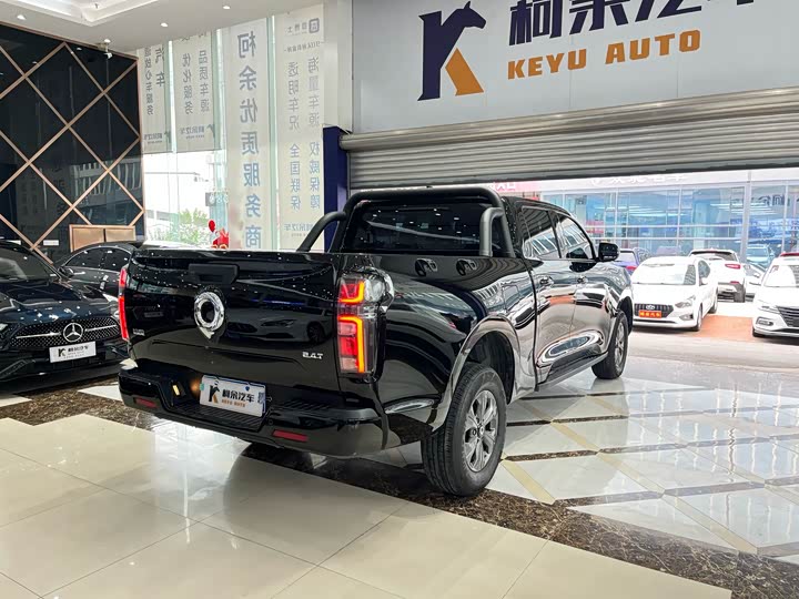 Great Wall Pao 2024 2024款 2.4T商用版自动柴油四驱精英型