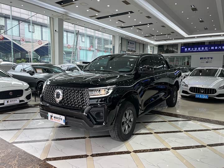 Great Wall Pao 2024 2024款 2.4T商用版自动柴油四驱精英型