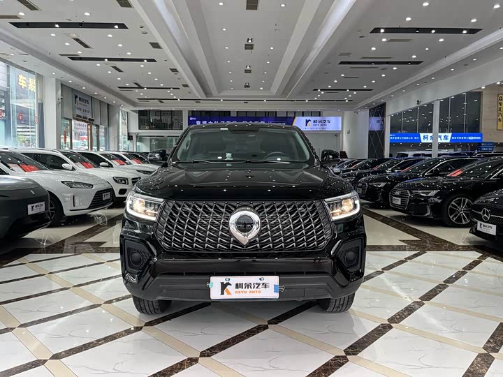 Great Wall Pao 2024 2024款 2.4T商用版自动柴油四驱精英型