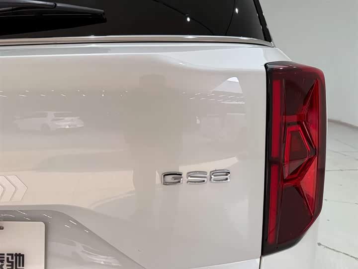 GAC Trumpchi GS8 2025 2025款 领航系列 2.0TGDI 两驱豪华版 5座