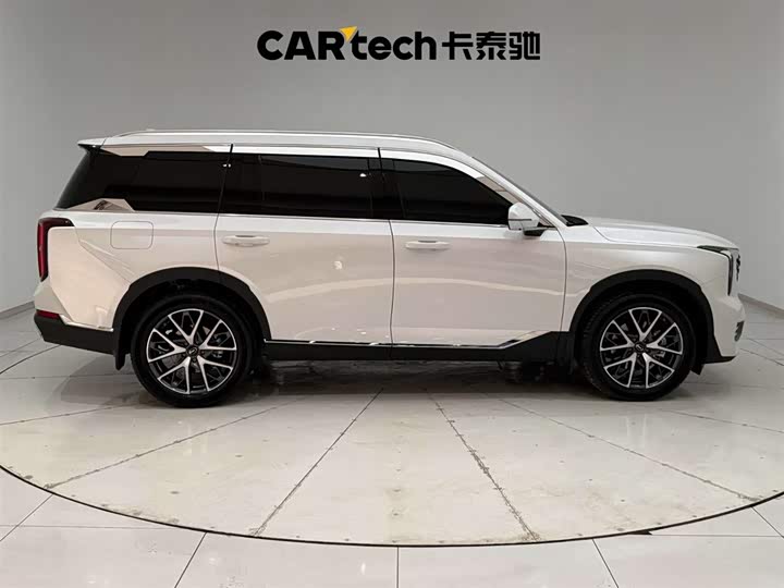 GAC Trumpchi GS8 2025 2025款 领航系列 2.0TGDI 两驱豪华版 5座