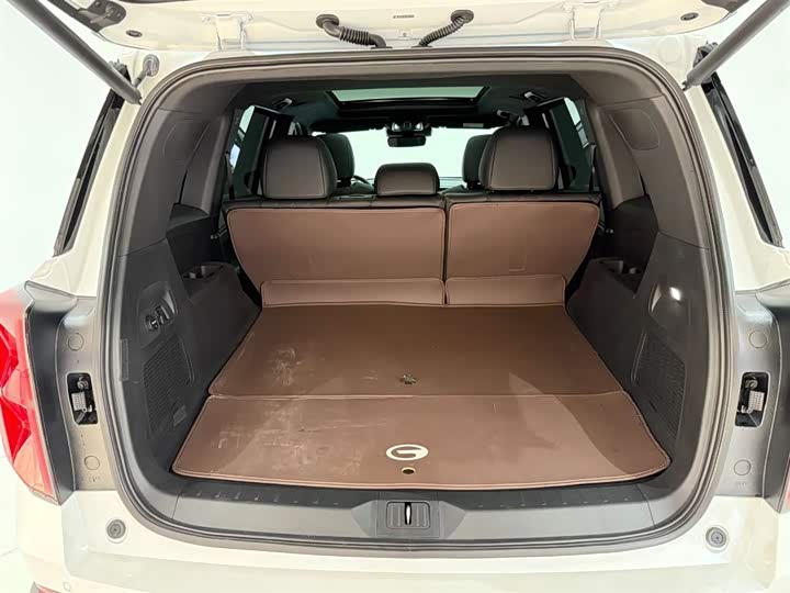 GAC Trumpchi GS8 2025 2025款 领航系列 2.0TGDI 两驱豪华版 5座