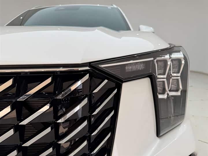 GAC Trumpchi GS8 2025 2025款 领航系列 2.0TGDI 两驱豪华版 5座