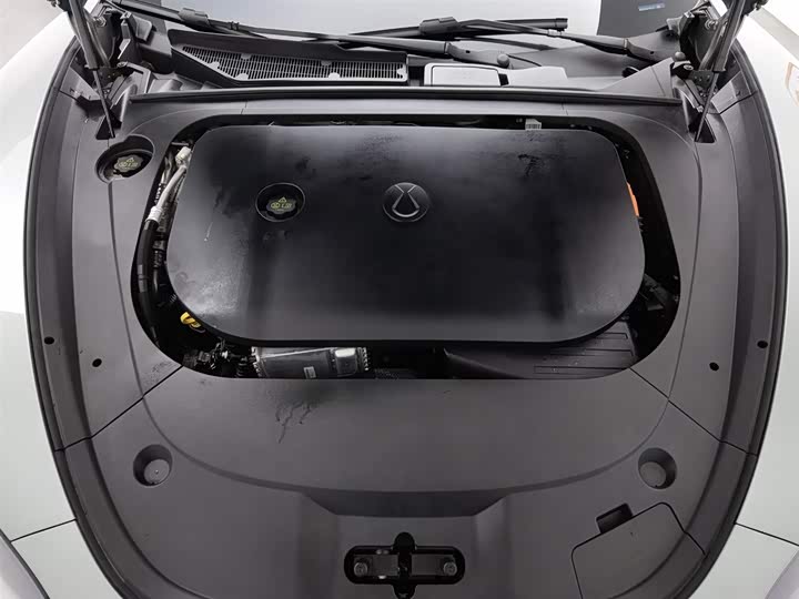 Denza Z9GT 2024 2024款 1100四驱Ultra版