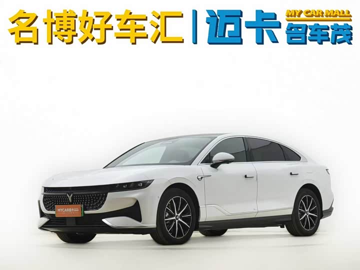 Voyah Passion 2024 2024款 PHEV 四驱超长续航行政版