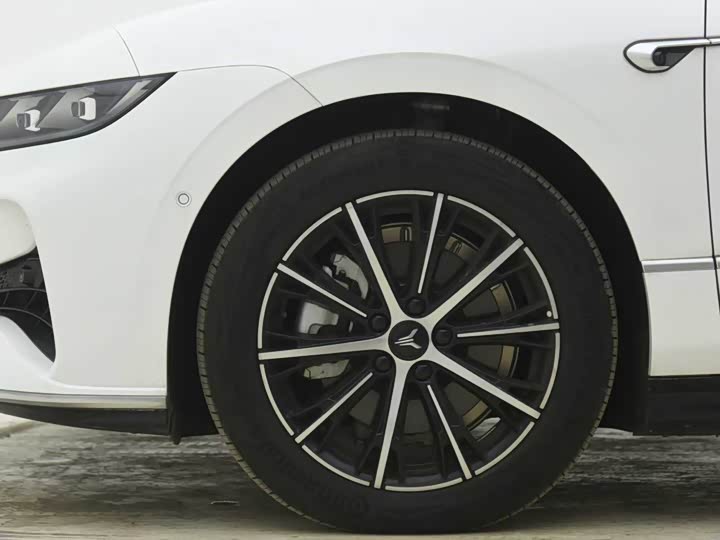 Voyah Passion 2024 2024款 PHEV 四驱超长续航行政版