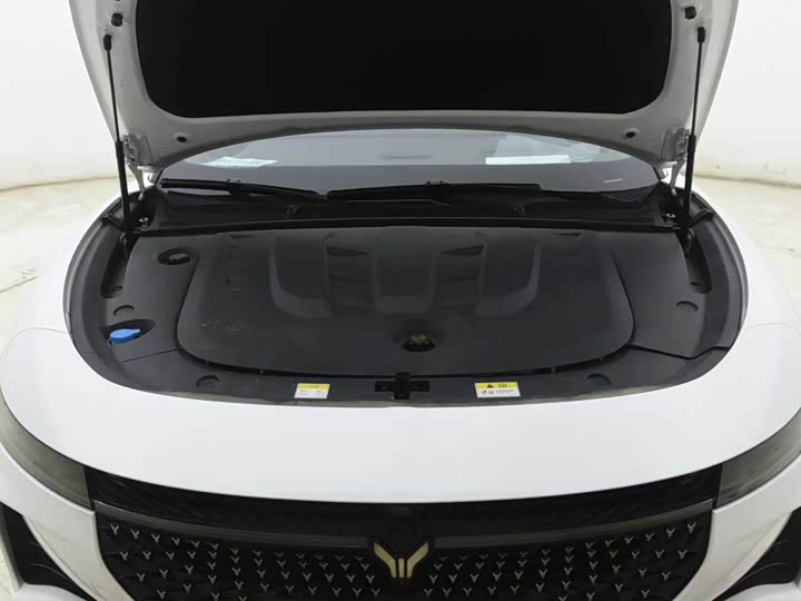 Voyah Passion 2024 2024款 PHEV 四驱超长续航行政版