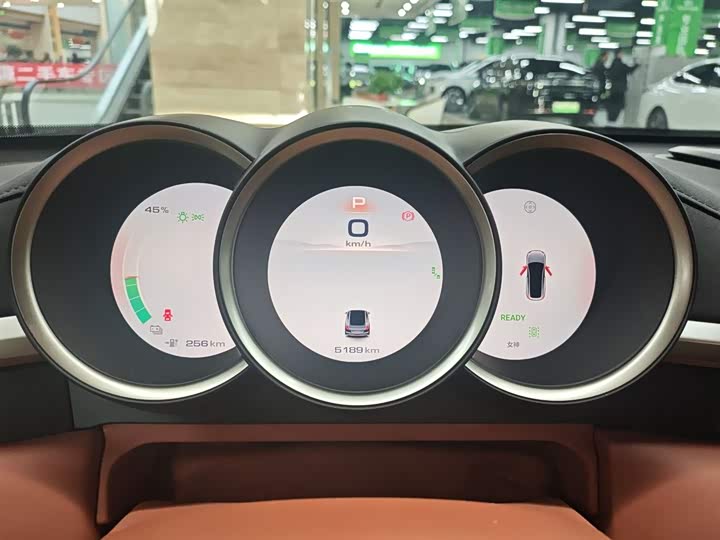 Ora Lightning Cat (07) 2022 2022款 555km 尊贵版