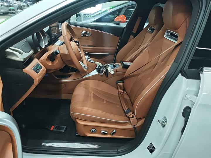 Ora Lightning Cat (07) 2022 2022款 555km 尊贵版