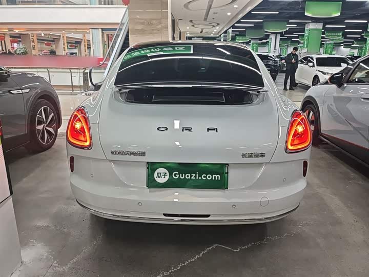 Ora Lightning Cat (07) 2022 2022款 555km 尊贵版