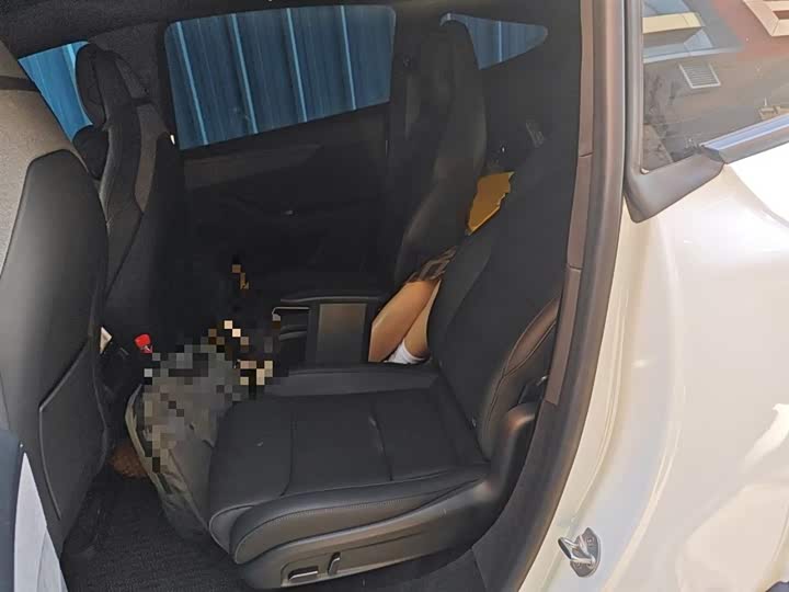 Tesla Model Y 2025 2025款 长续航全轮驱动版