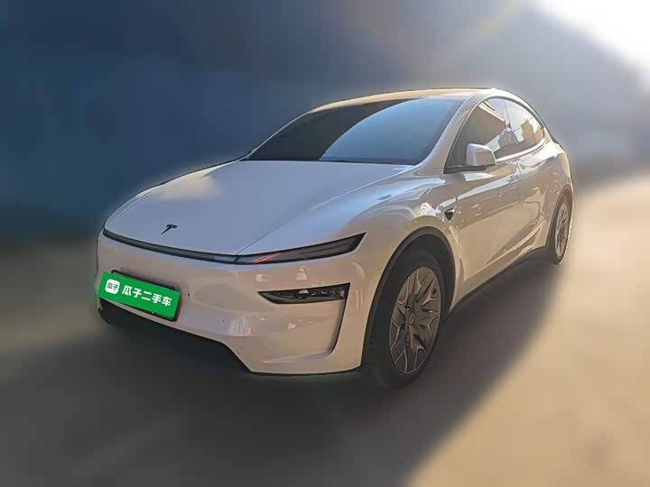 Tesla Model Y 2025 2025款 长续航全轮驱动版