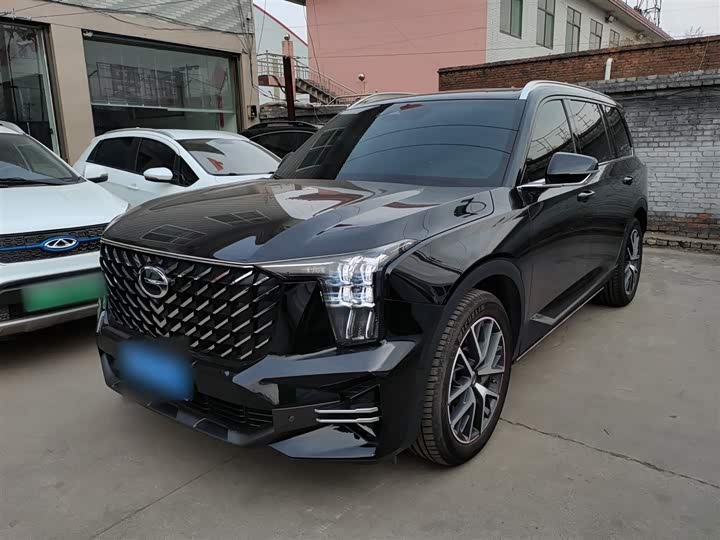 GAC Trumpchi GS8 2024 2024款 领航系列 2.0TGDI 两驱豪华智联版