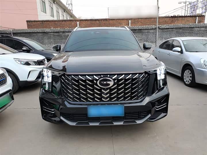 GAC Trumpchi GS8 2024 2024款 领航系列 2.0TGDI 两驱豪华智联版