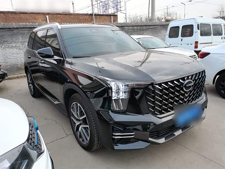 GAC Trumpchi GS8 2024 2024款 领航系列 2.0TGDI 两驱豪华智联版