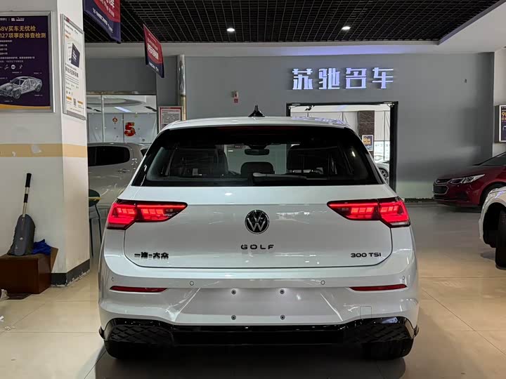 Volkswagen Golf 2025 2025款 改款 300TSI R-Line
