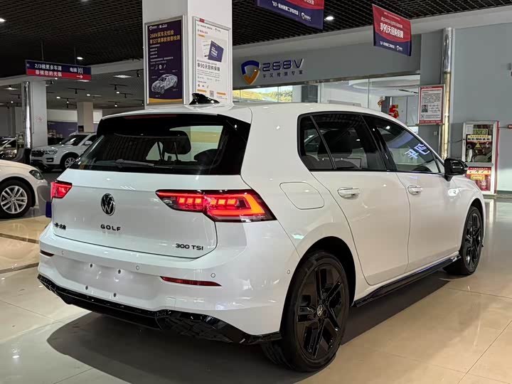 Volkswagen Golf 2025 2025款 改款 300TSI R-Line