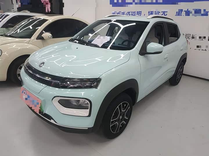 Dongfeng Nammi Nano EX1 2022 2022款 追风版 331KM 标准型