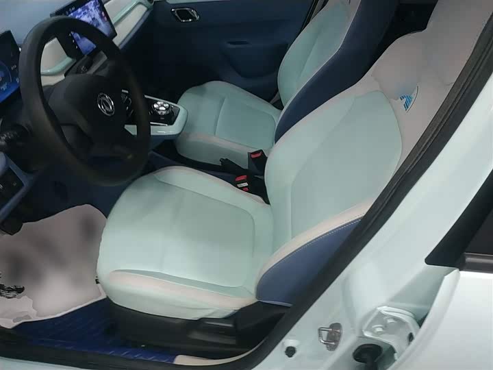 Dongfeng Nammi Nano EX1 2022 2022款 追风版 331KM 标准型