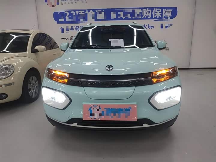 Dongfeng Nammi Nano EX1 2022 2022款 追风版 331KM 标准型