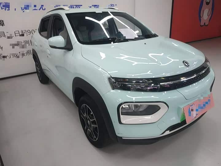 Dongfeng Nammi Nano EX1 2022 2022款 追风版 331KM 标准型
