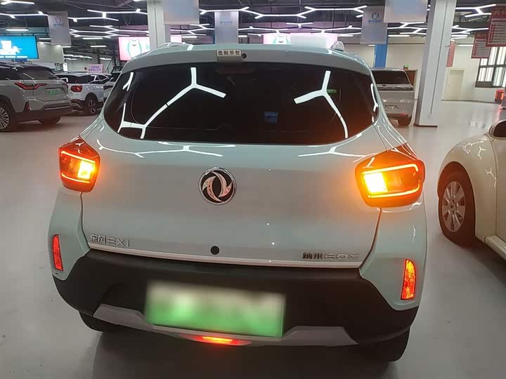 Dongfeng Nammi Nano EX1 2022 2022款 追风版 331KM 标准型